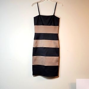 Max and Cleo Strapless Satin Cocktail Dress Size 4